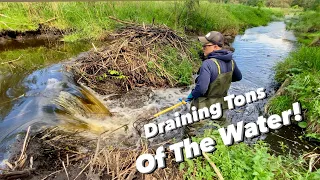 Beaver Dam Drainage || Ticks Attack.