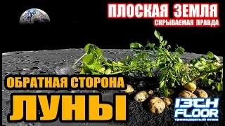 ОБРАТНАЯ СТОРОНА ЛУНЫ / ИЛИ КИТАЙЦЫ НА ЛУНЕ