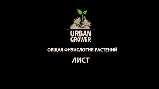 УРБАН ГРОВЕР УРОК 7 - ЛИСТ - ОБЩАЯ ФИЗИОЛОГИЯ РАСТЕНИЙ