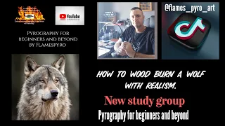 How to wood burn a wolf pyrography portrait with realism. Study group, pyrography for beginners