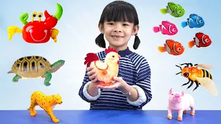 Trò Chơi Săn Và Học Cá Con Vật 💎 AnAn ToysReview TV 💎