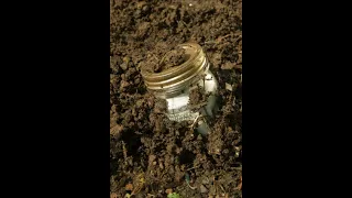 Unbelievable! What's in the mason jar found metal detecting? Cache