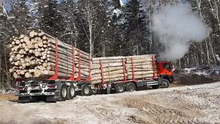 iveco лесовоз , зимняя вывозка леса