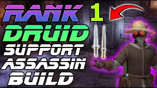 Rank 1 Druid Support Assassin Build : Dark and Darker