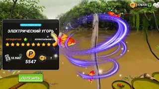 Легендарный Електрический Угорь    на Амазонке прохождение игры Fishing clash