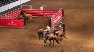 Calgary Stampede 2016 - Team Cattle Penning 10 Class win