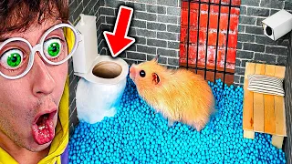 🐹 Hamster Atrapado en la Cárcel... (ayuda)