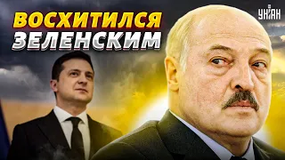 Лукашенко окончательно переобулся: призвал остановить войну и восхищается Зеленским