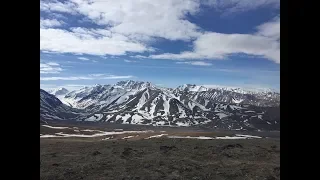 Denali National Park - Mt Healy, Toklat, Savage River, Upper East Fork (May 2019)