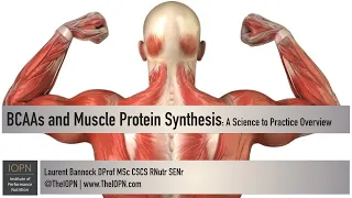 BCAAs and Muscle Protein Synthesis: A Science to Practice Overview