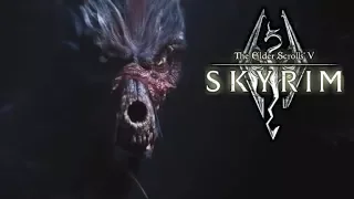 ●  The Elder Scrolls V: Skyrim●Братья бури