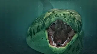 Titanoboa - die Riesenschlange, die die ganze Welt in Angst und Schrecken versetzte!