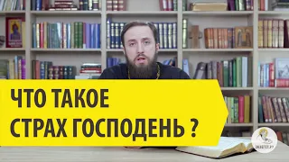 ЧТО ТАКОЕ СТРАХ ГОСПОДЕНЬ? Cвященник Стефан Домусчи