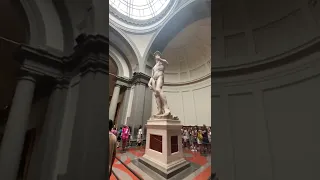 Statue of David, Michelangelo's David