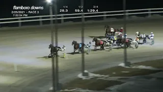 FEB 25,2021-RACE 3-FLAMBORO DOWNS