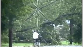 Downed Power Lines