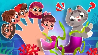 Mermaid Finger Family Song 🧜‍♀️🐱👨‍👩‍👧‍👦| The Rescue Team | Kids Songs by Comy Zomy