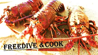 Intro to Freedive-SPEARFISHING CA Series (Vol. 18): LOBSTER!!!