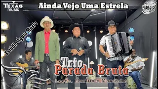 Ainda Vejo Uma Estrela - TRIO PARADA BRUTA (Leone, Marlito e Marcinho)