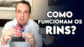 Como funcionam os Rins? - Dr. Andre Matos Urologista