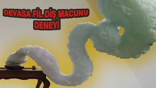 EFSANE FİL DİŞİ MACUNU DENEYİ (Geri Sarım Müthiş Görüntü)