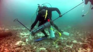 Lionfish Clean Up yields new record video