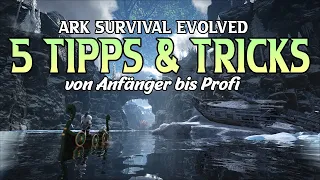 5 Tipps & Tricks für jeden ARK Spieler | Vom Anfänger bis Profi die nicht jeder kennt !