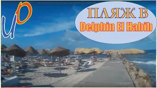 Delphin El Habib / Территория и пляж Delphin El Habib 4*. Тунис.