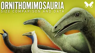 ORNITHOMIMOSAURIA dinosaurs size comparison and data. Paleoart