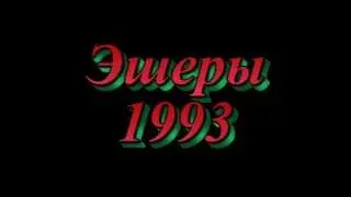 Один день разведчиков 345 полка эшеры 93