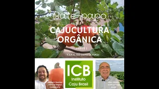 Bate-papo sobre Cajucultura Orgânica -  parte 1