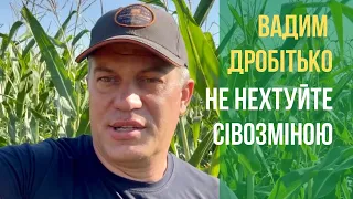 Сівозміна не треба нехтувати | Де поставити кому? | Вадим Дробітько досліджує попередники кукурудзи