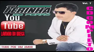 FERINHA DO FORRÓ - VOLUME 7