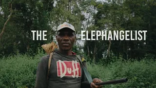 Documentary Czech Biologist Saving Elephants in Congo - The Elephangelist