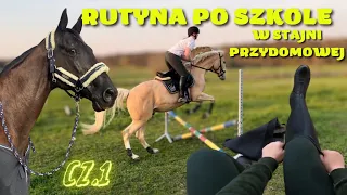 RUTYNA W STAJNII PRZYDOMOWEJ PO SZKOLE! Co robię po szkole? Ivey mi uciekła !| CZĘŚĆ PIERWSZA #vlog