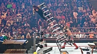 Jeff Hardy vs. The Undertaker: Undisputed WWE Championship Ladder Match - Raw, July 1, 2002