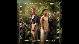 Camilo ft. Manuel Carrasco - Salitre