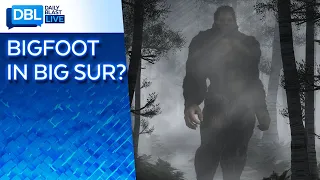 Hiker's 'Bigfoot' Photo Renews Debate of Sasquatch's Existence