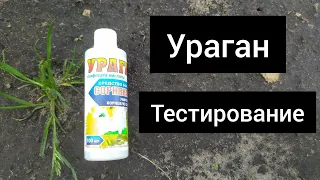 Средство от сорняков УРАГАН (гербицид). Тестирование.