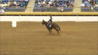 Mule Barrel Racing