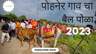 नाद नाय  करायचा | Nad Naay Karaycha Sarja Rajacha - DJ bail pola video 2023