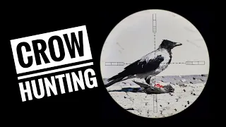 Crow Hunting 2021