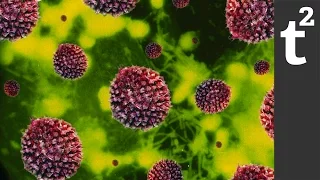 Can Bacteria Get a Virus? RIF 48