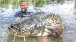 Big Catfish in the Night - HD by Catfish World