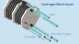 The Hydrogen Electrolyser