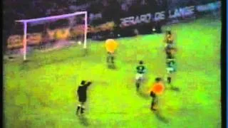 1976 (October 13) Holland 2-Northern Ireland 2 (World Cup Qualifier) (Dutch goals only).mpg