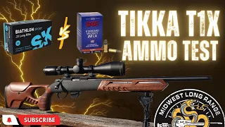 Tikka T1X 22lr Ammo Test (CCI SV vs SK Biathlon)