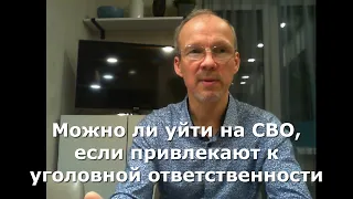 Иж Адвокат Пастухов. Можно ли уйти на СВО, если привлекают к уголовной ответственности.