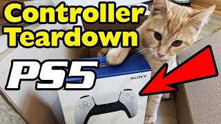 PlayStation 5 Dual Sense Controller Teardown