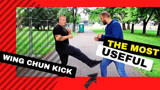 Stop kick to the knee - Wing Chun